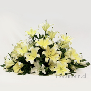 Arreglo decorativo de condolencias para decorar recinto ceremonia o aplicar como Cubre-urna. (Color y Tonalidad puede variar segn disponibilidad floral -  Servicio slo Santiago)
